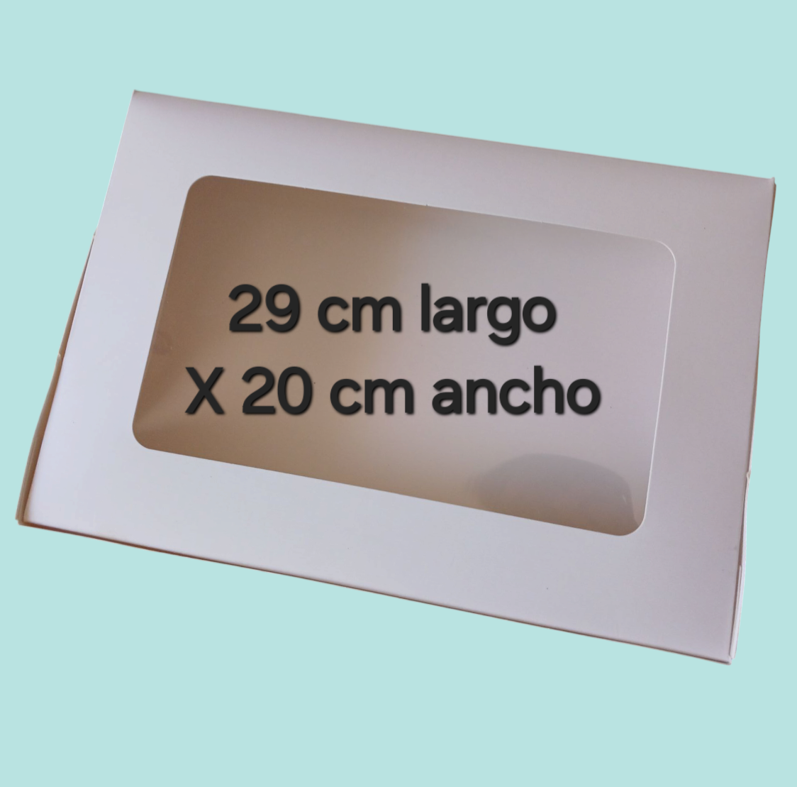Caja rectángulo con visera 29cm de largo X 20cm de ancho