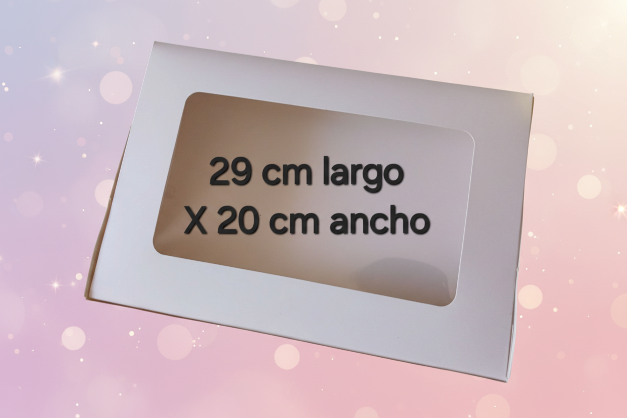 Caja rectángulo con visera 29cm de largo X 20cm de ancho