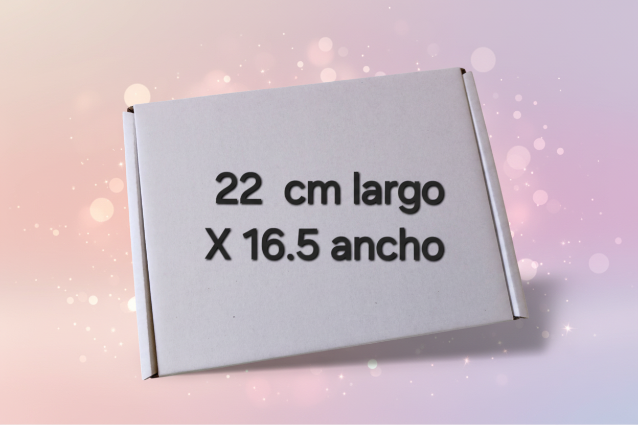 Caja rectángulo sin visera 22cm de largo X 16.5 de ancho