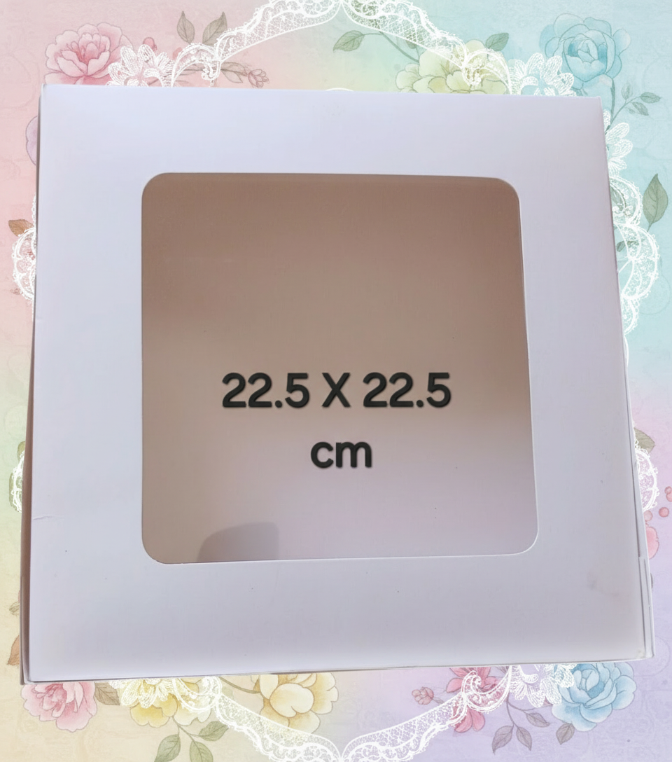 Caja cuadrada con visera 22.5 cm X 22.5 cm