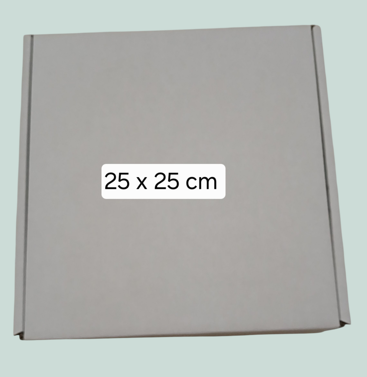 Caja de cartón  sin vicera 25 cm  x 25 cm