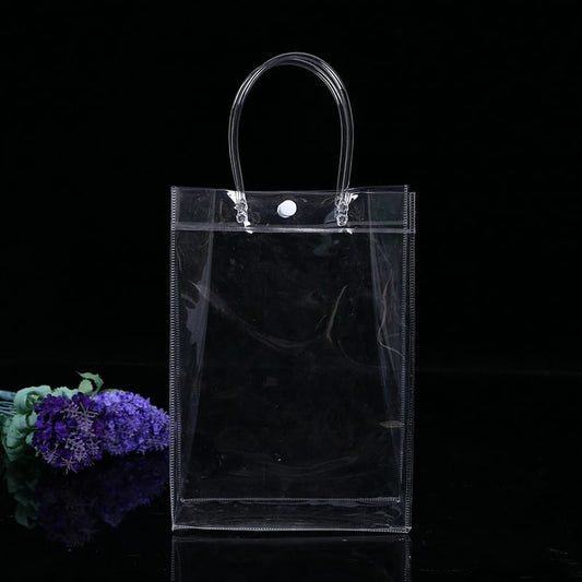 Bolsa transparente 24x24x9cm