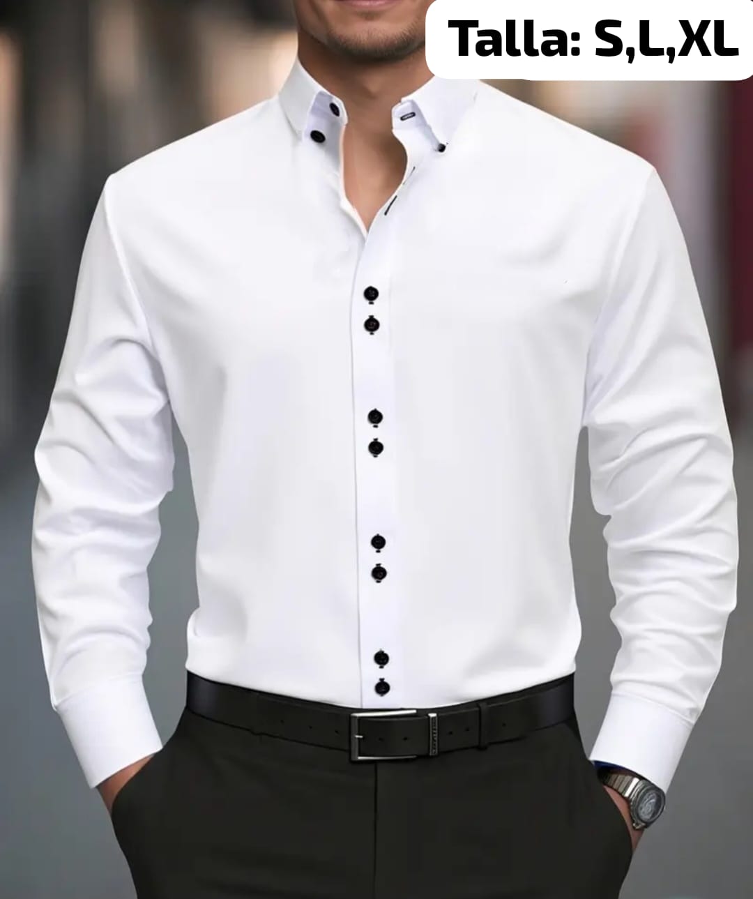 Camisa Formal manga larga